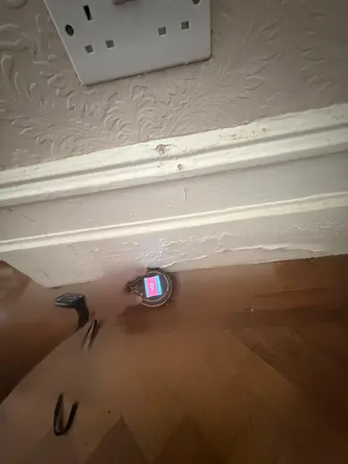 Moisture meter reading 634 REL in the reception room