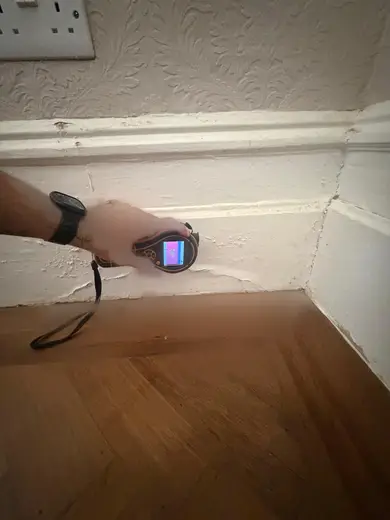 Moisture meter reading 588 REL in the reception room