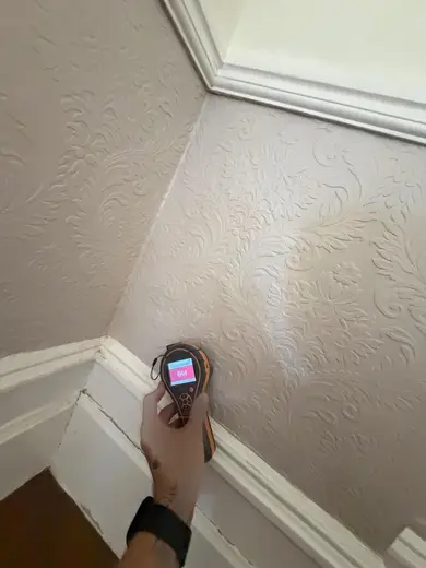 Moisture meter reading 644 REL in the reception room