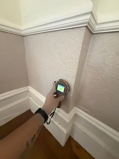 Moisture meter reading 190 REL in the reception room