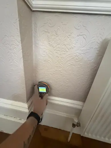 Moisture meter reading 198 REL in the reception room