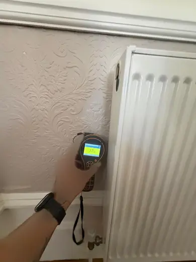 Moisture meter reading 176 REL in the reception room