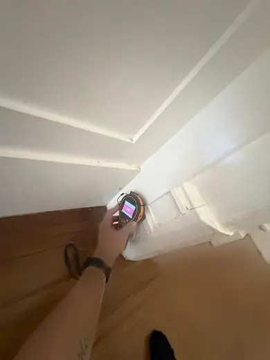 Moisture meter reading 391 REL in the reception room
