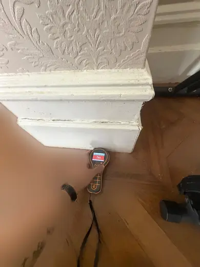 Moisture meter reading 785 REL in the reception room