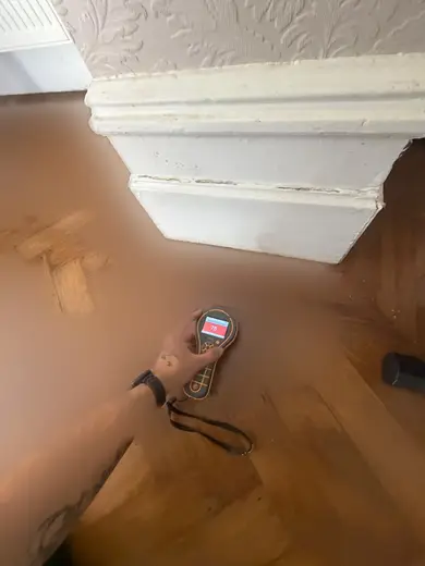 Moisture meter reading 750 REL in the reception room