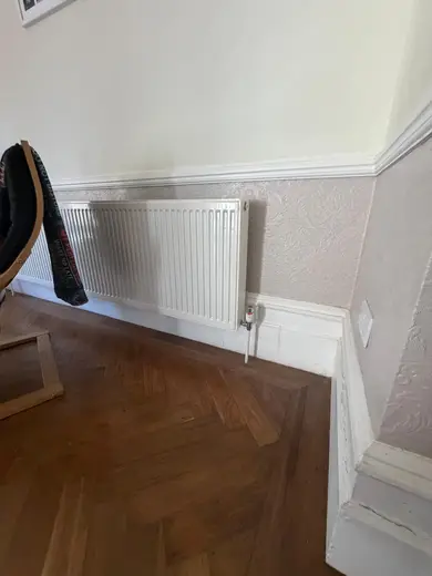 Photograph from reception room taken during the damp survey