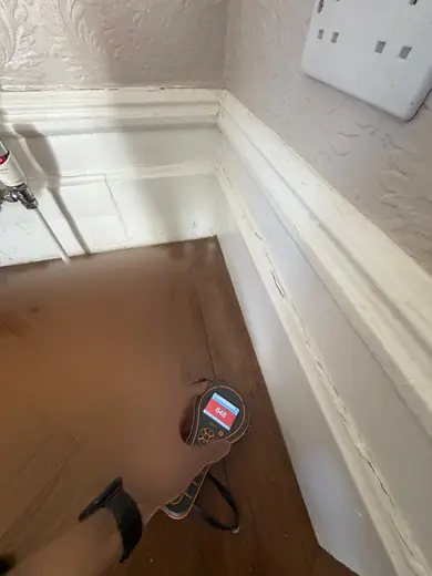 Moisture meter reading 648 REL in the reception room