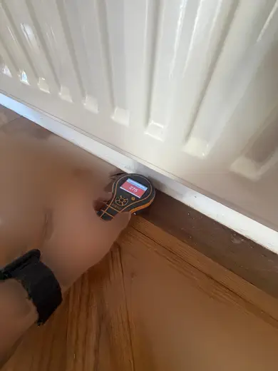 Moisture meter reading 275 REL in the reception room