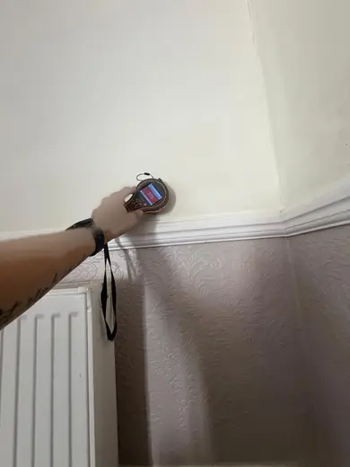 Moisture meter reading 375 REL in the reception room
