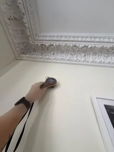 Photograph from reception room taken during the damp survey
