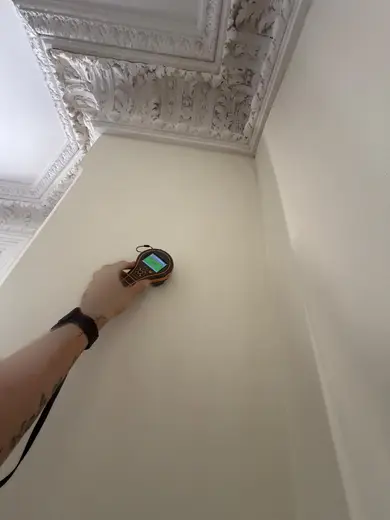 Photograph from reception room taken during the damp survey