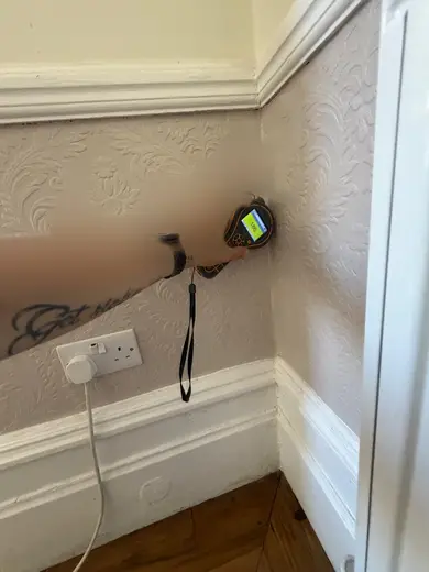 Moisture meter reading 186 REL in the reception room