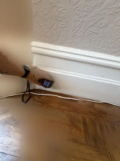 Photograph from reception room taken during the damp survey