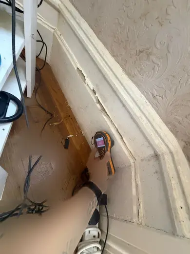 Moisture meter reading 683 REL in the reception room