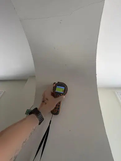 Photograph from kitchen taken during the damp survey