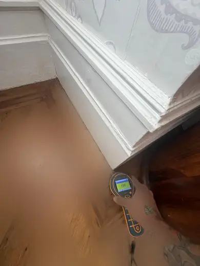 Moisture meter reading 190 REL in the front living room