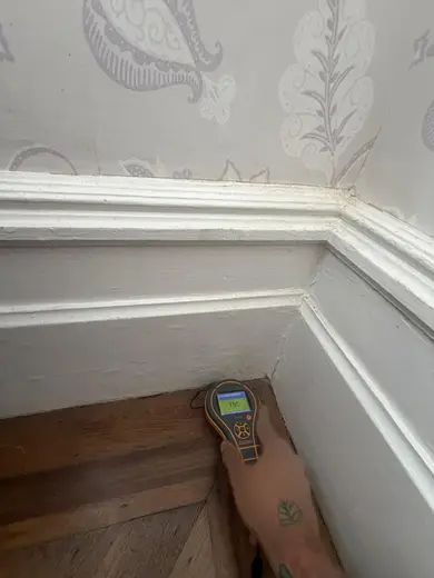 Moisture meter reading 195 REL in the front living room