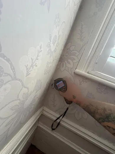 Moisture meter reading 317 REL in the front living room
