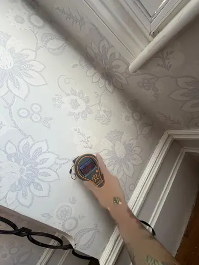 Photograph from front living room taken during the damp survey