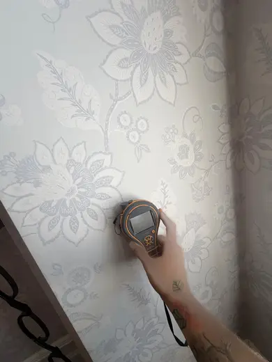 Moisture meter reading 194 REL in the front living room