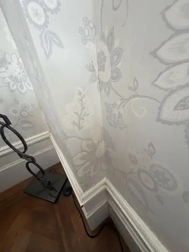 Photograph from front living room taken during the damp survey