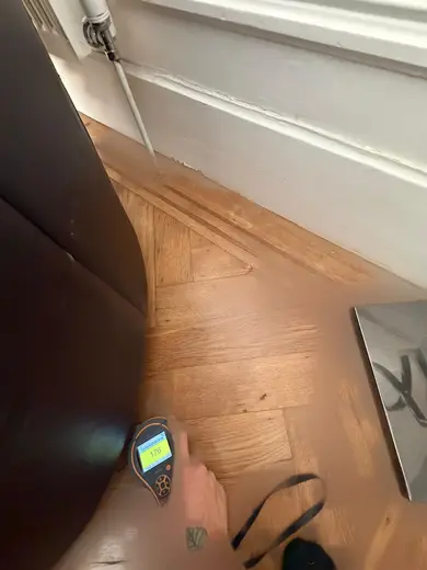 Moisture meter reading 176 REL in the front living room