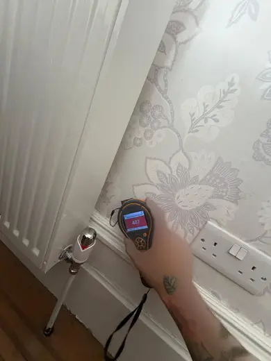 Moisture meter reading 487 REL in the front living room