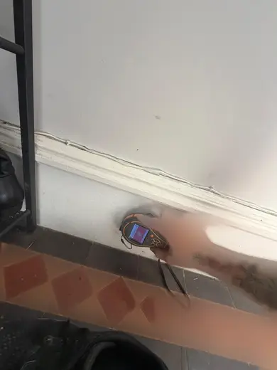 Moisture meter reading 98 REL in the entrance hallway