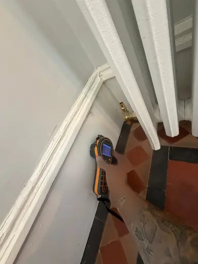 Photograph from entrance hallway taken during the damp survey