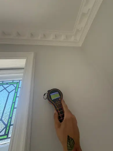 Moisture meter reading 177 REL in the entrance hallway