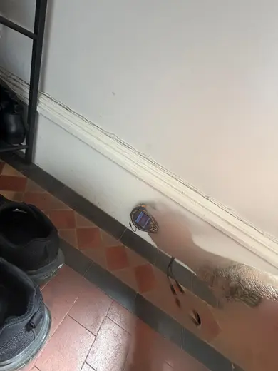 Moisture meter reading 903 REL in the entrance hallway