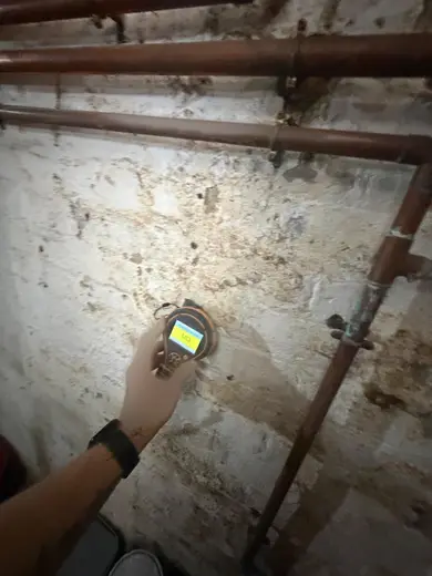 Moisture meter reading 183 REL in the cellar