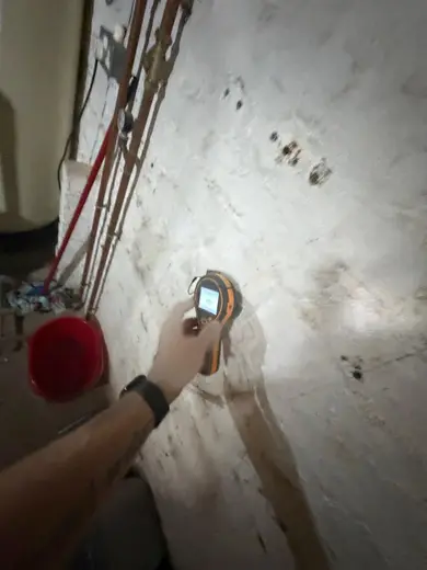 Moisture meter reading 181 REL in the cellar