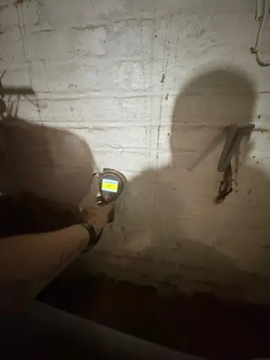 Photograph from cellar taken during the damp survey