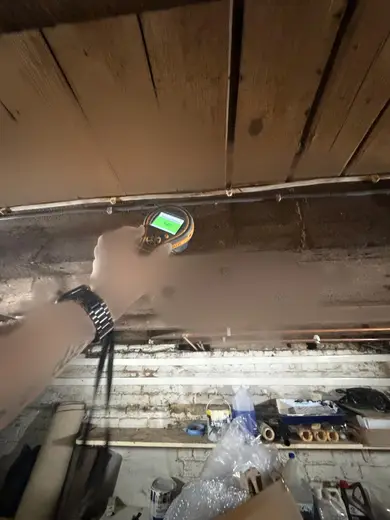Moisture meter reading 146 REL in the cellar