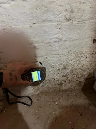 Moisture meter reading 173 REL in the cellar