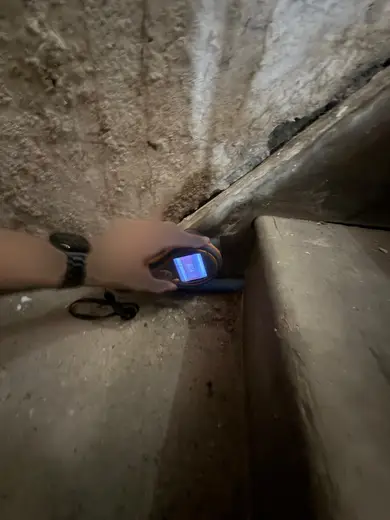 Moisture meter reading 840 REL in the cellar
