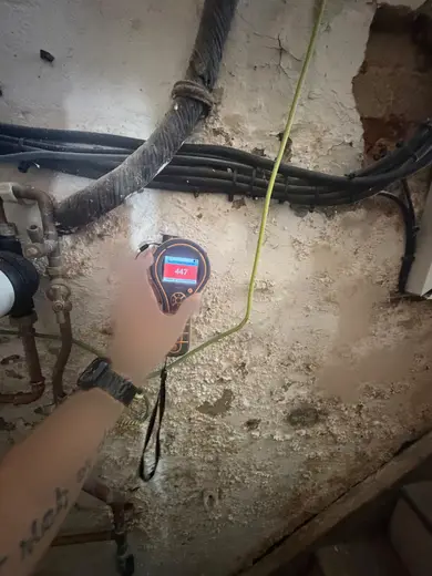 Moisture meter reading 447 REL in the cellar
