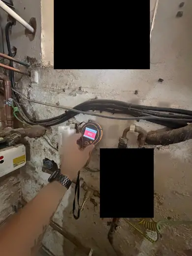 Moisture meter reading 642 REL in the cellar