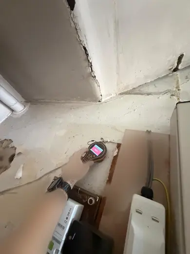 Moisture meter reading 841 REL in the cellar