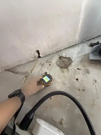 Moisture meter reading 180 REL in the cellar