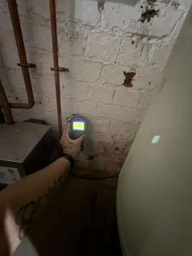 Moisture meter reading 177 REL in the cellar