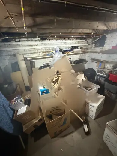 Photograph from cellar taken during the damp survey
