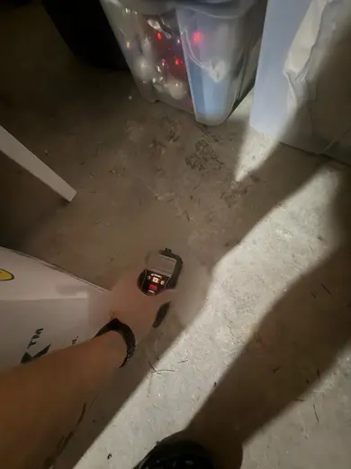 Moisture meter reading 4.1% in the cellar