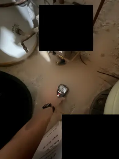 Moisture meter reading 4.2% MC in the cellar