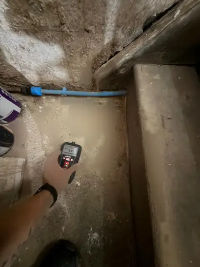 Moisture meter reading 6.9% in the cellar