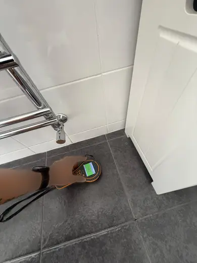 Moisture meter reading 162 REL in the 1st floor bathroom