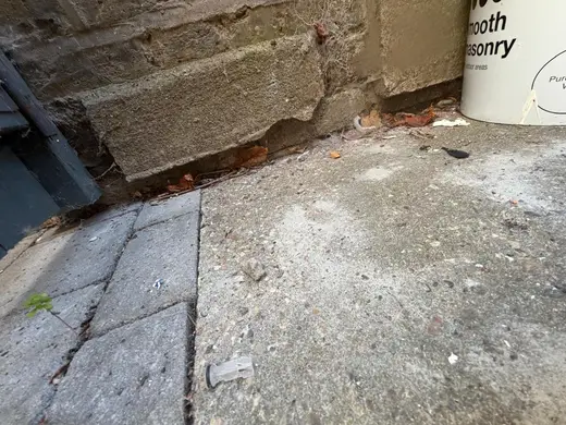 Photograph from exterior taken during the damp survey