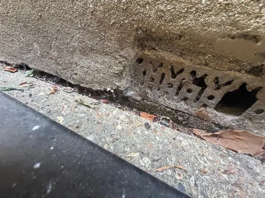 Photograph from exterior taken during the damp survey