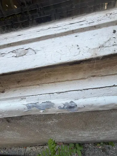 Photograph from exterior taken during the damp survey
